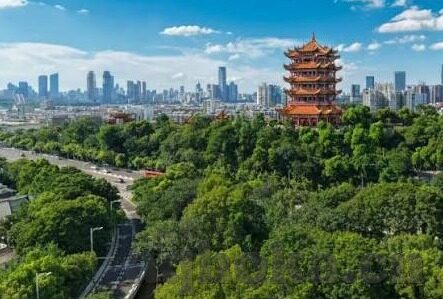 大象传媒污破解版-大象传媒污破解版，网络世界的灰色地带与道德边界
