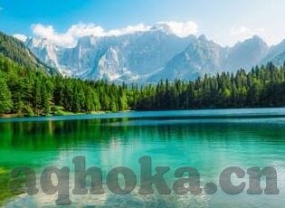 国产av毛片一区二区三区麻豆-一睹国产av行业星云，一区二区三区的多彩画卷