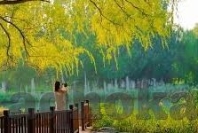 韩国伦理片迅雷下载-韩国伦理片，迅雷下载与文化现象的深度探讨