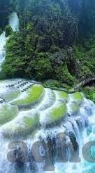 糖心app 下载-全民风靡的应用，糖心app的下载之旅