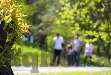 糖心app最新版本-让糖心更甜，体验最新版本的惊喜