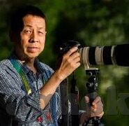 糖心logo官网在线看免费-解读糖心Logo的在线浏览艺术——免费赏析的独特体验