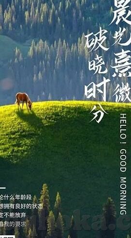 糖心视频下载app安装-心悦诚服，糖果般的视觉盛宴——解锁糖心视频下载及应用技巧