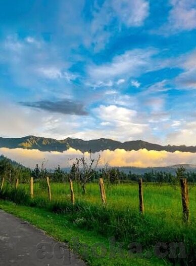 糖心vlog破解版下载-维护网络版权，拥抱创意与创新，理性视角下的VLOG体验探索