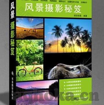 糖心vlog污vip兑换码-糖心Vlog的惊喜世界，探索VIP体验的非凡之旅