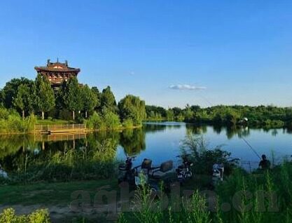 亚洲免费一区二区三区-探索亚洲网络内容多样性的边界，一区、二区、三区的文化与现实