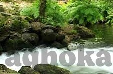 亚洲一区二区-亚洲的多元发展区域，一区二区的独特视角与融合路径